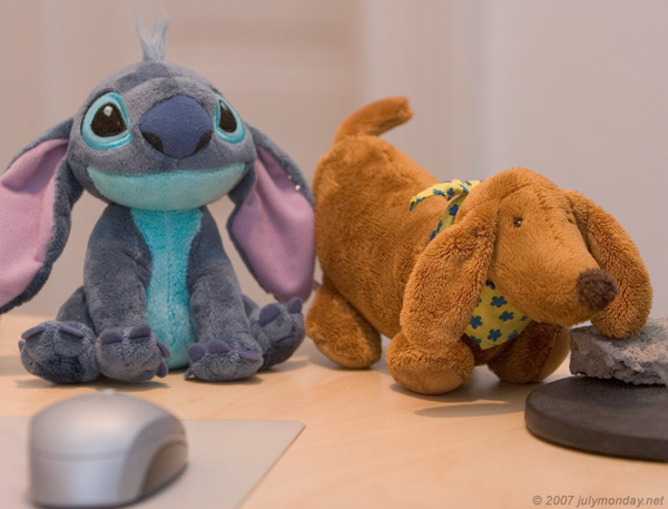 Work desk buddies