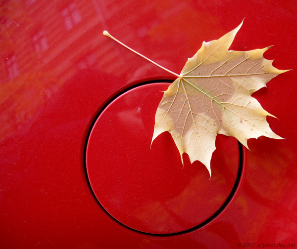 Leaf