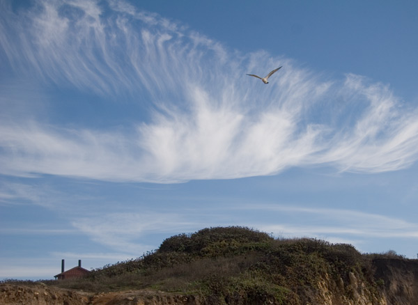 November 20, 2006, Pescadero beach, USA