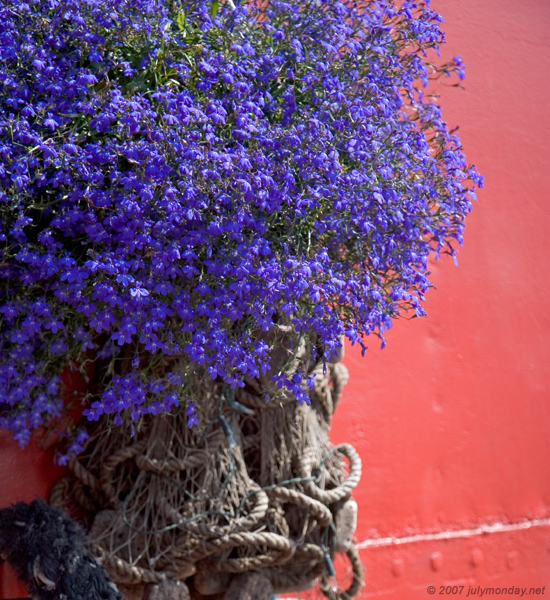 Blue&red