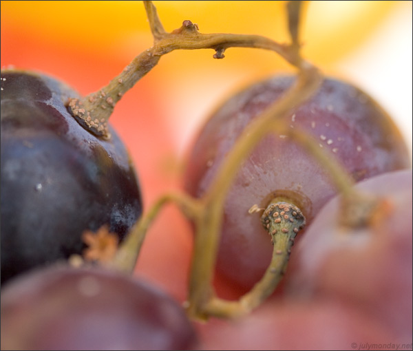 Grapes