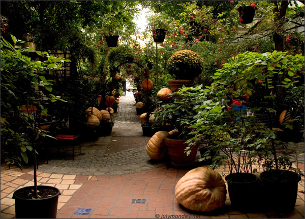 Kunsthaus Vienna, cafe