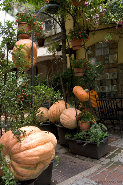Kunsthaus Vienna, cafe