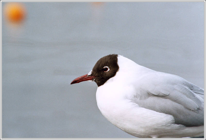 Basel, Feb. 2005