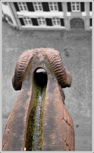 Gargoyle's view, Basel, Feb. 2005