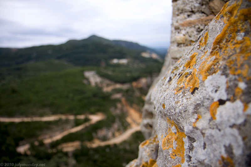 Lichen