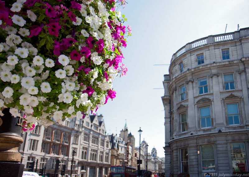 Trafalgar Square to Whitehall
