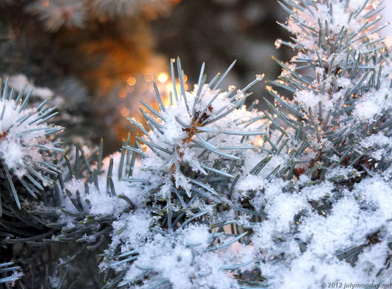 Snow in Berlin