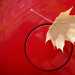 Leaf