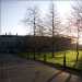 14.01.2007, Trinity College, Dublin, 9 o