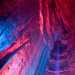 Ruby Falls, Chattanooga, USA, December 16, 2007