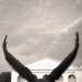 Eagle topiary