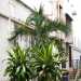Urban backyard