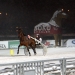 Solvalla racing