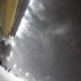 Solvalla race night