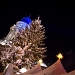 Christmas market 