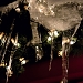 When will the icicle melt