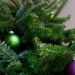 Green and purple