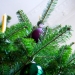 Green and purple