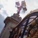 Lanterns at Buckingham Palace