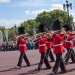 Changing the Guard, coming