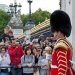 Changing the Guard , adoring public